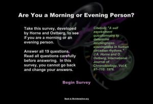 morning-or-evening-person