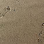 How_To_Make_Two_Steps_To_Guard_Ourselves_For_Amazing_Positivity