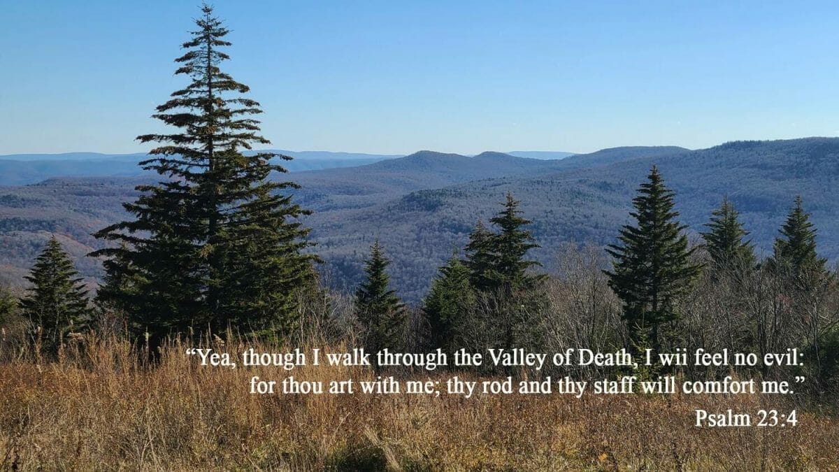 There is no future in the past